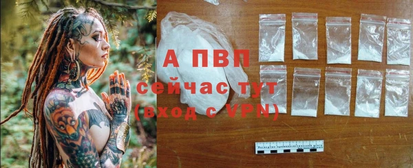 тгк Ростов